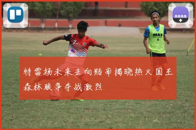 特雷杨未来去向赔率揭晓热火国王森林狼争夺战激烈