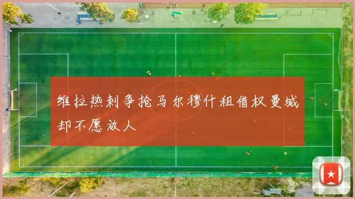 维拉热刺争抢马尔穆什租借权曼城却不愿放人